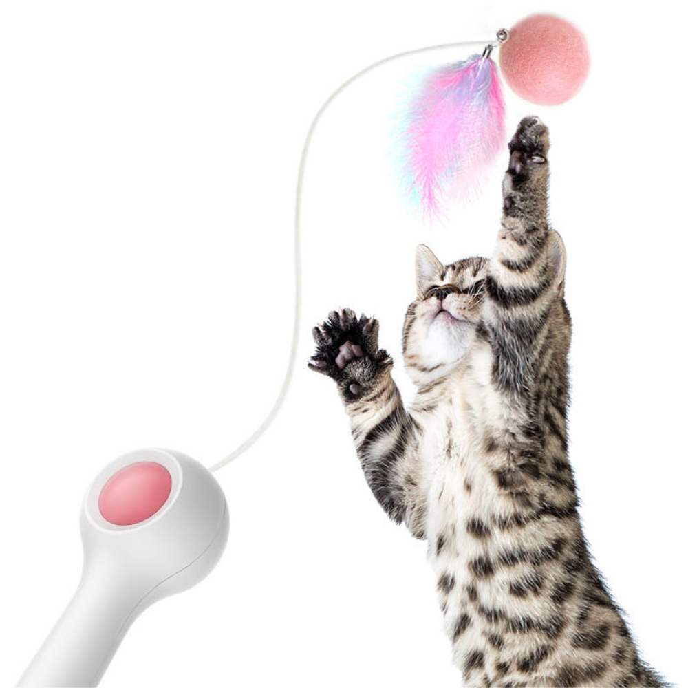 Retractable Cat Teaser Wand with Catnip Ball & Feather | One-Click Gravity String Toy for Cats