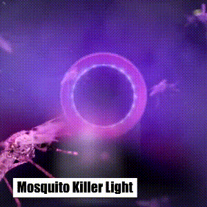 USB Mosquito Killer Lamp – Indoor UV Light Insect Trap with Powerful Suction Fan, Silent & Chemical-Free Bug Zapper