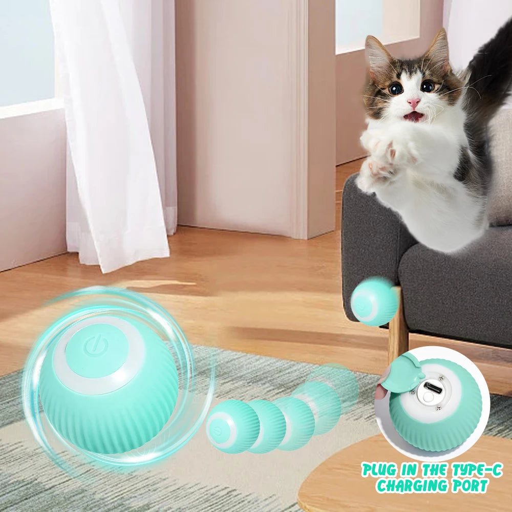 Smart Rolling Ball Cat Toy USB-C Rechargeable | Interactive Electric Moving Ball with LED for Cats