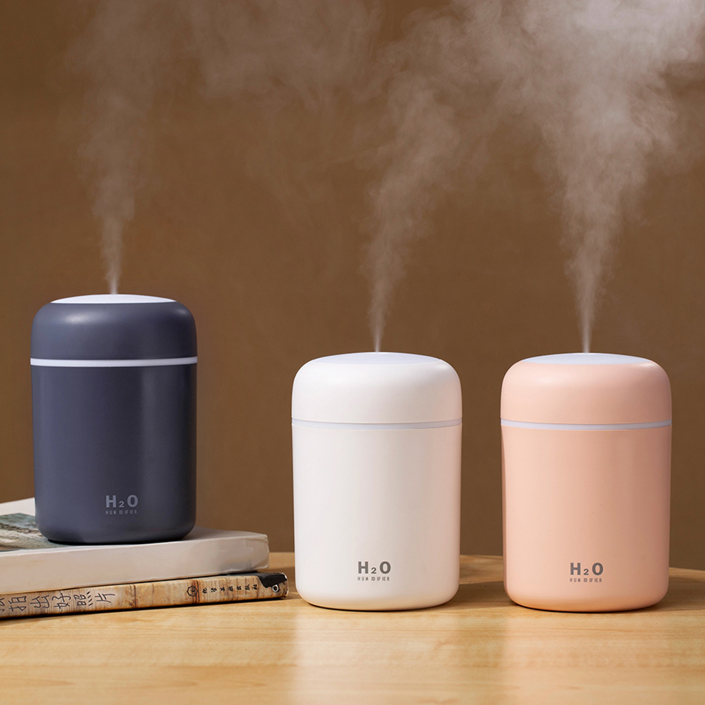 Portable Air Humidifier for Car & Home