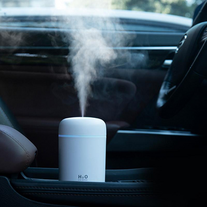 Portable Air Humidifier for Car & Home